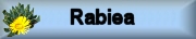 Photo gallery RABIEA