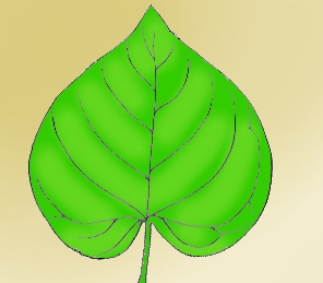 entire edge leaf
