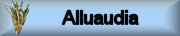 Photo gallery ALLUAUDIA