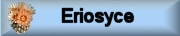 Photo gallery ERIOSYCE