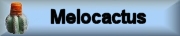 Photo gallery MELOCACTUS