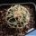 Pediocactus peeblesianus f. maius S. Cameron, Arizona, USA (Navajoa peeblesiana f. maia)