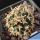 Pediocactus peeblesianus Holbrook, Golfplatz, Arizona, USA  (Navajoa peeblesiana)
