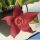 Stapelia comparabilis (× Tromostapelia mutabilis)