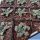 Haworthia cv. FROST (ex Japan)