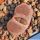 Lithops terricolor cv. PINKY ex Shimada Japan