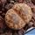 Lithops bromfieldii v. glaudinae C393 (YELLOW OCHER SELECTION) 70km NW of Griquatown, South Africa
