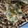 Acanthocalycium glaucum RMF632 Hualfin, Argentina
