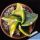 Astrophytum myriostigma cv. FUKURYU (Type B - HEKIRAN FUKURYU) "nudum f. variegata"