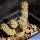 Pseudolithos dodsonianus