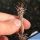 Toumeya papyracantha (seedling)