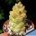 Monadenium ritchiei ssp. nymbayense f. variegata (Clone B Yellow)