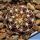 Discocactus hybrid horstii x diersianus