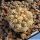 Copiapoa cinerea f. albispina, HR1037 Quebrada Cascabeles, 02 Antofagasta, Chile32 m, Chile