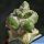Astrophytum myriostigma cv. KIKKO RAMPOW (grafted)