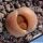 Lithops lesliei v. mariae C141TL: 10 km SW of  Boshof, South Africa
