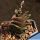Haworthia nigra