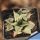 Haworthia magnifica v. accuminata north of Louritzmond TL JDV 87-92