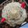 Mammillaria schiedeana f. plumosa Punte Diaz
