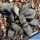 Gasteria baylissiana