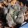 Haworthia cooperi v. venusta x cv. CHOCOLATE