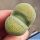 Lithops terricolor cv. SPECLED GOLD C345A 30km West-North-West of Prince Albert Road, Cape Province