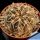 Gymnocalycium stellatum forma