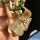 Orbea variegata (Stapelia variegata)