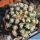 Pygmaecereus bieblii
