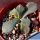 Aloinopsis rosulata 