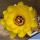 Chamaecereus hybrid (Chamaelobivia) cv. FLOR-YELLOW