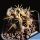 Eriosyce horrida (Horridocactus horridus)