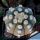Astrophytum asterias cv. OOIBO + RURI KABUTO (nudum)