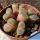 Ophthalmophyllum lydiae (Conophytum) SH1348 38km SE Springbok, Northern Cape, South Africa