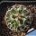 Escobaria vivipara v. arizonica