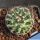 Mammillaria wrightii DJF1615