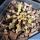 Gymnocalycium friedrichii v. angustostriatum LB2178 Aqua Dulce Alto Paraguay-Chaco, Paraguay