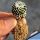 Mammillaria luethyi (seed grown)