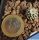 Mammillaria luethyi (seed grown)