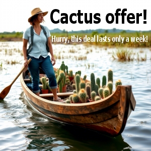 CACTUS A-B-C-D