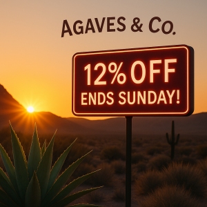 AGAVE & Co.