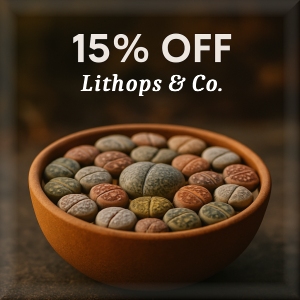 LITHOPS