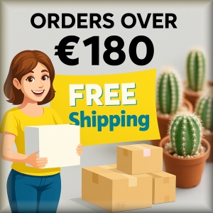 Spedizione gratuita!