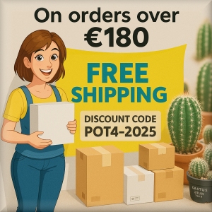 Free shipping! 