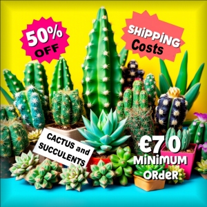 Spedizione: 50% di sconto