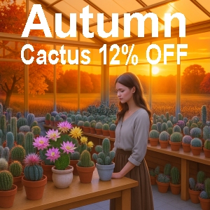 OFFERTA DELLA SETTIMANA ....