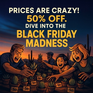 Black Friday 2025 50% OFF