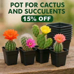 PROMOTION Pots & Labels  (12% Discount)