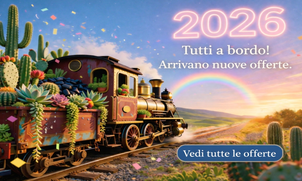 Tutti a bordo! Arrivano nuove offerte.